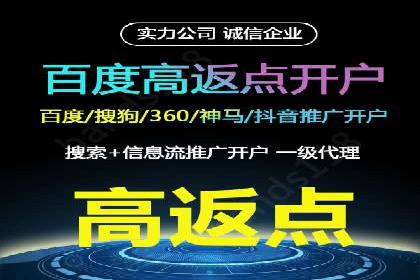 XX行业竞价广告的投放策略与效果分析